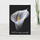 Search for white calla lily cards Black