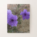 Search for mexican puzzles Flower