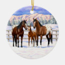 Search for appaloosa horse ornaments Mare and foal