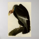 Recherche de condoléances posters Oiseau