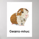 Search for fluffy white art Pet