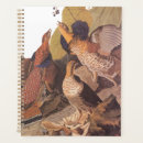 Search for pheasant office supplies Nature