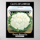 Recherche de vintage vegetable posters Retro