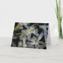 Search for winter frost cards Ice