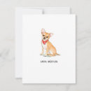 Search for chihuahuas cards Pet