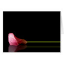 Recherche de calla photographie Floral