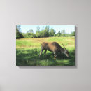 Recherche de antilope art Faune