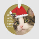 Recherche de cataire Noël