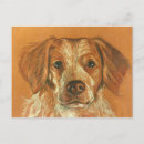 Recherche de brittany cartes postales Chien