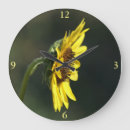 Search for hirta Yellow flower