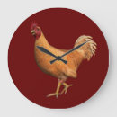 Search for cock clocks Bird
