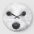 Recherche de nez horloges Yeux