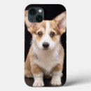 Search for queen elizabeth iphone cases Pet