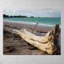 Search for driftwood art Beach