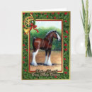 Search for draught cards Equine