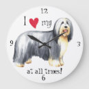 Recherche de barbu horloges Chien
