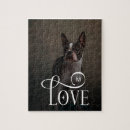 Search for jigsaws pet dogs puzzles Modern