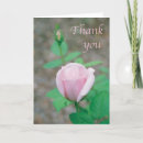 Search for bible blessing cards Rose