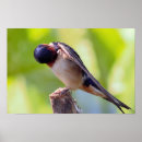 Recherche de toilettage posters Photographie