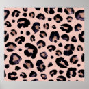 Search for snow leopard posters Illustration