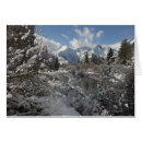 Search for foothill Winter