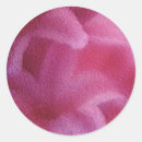 Search for pink lily stickers Flower
