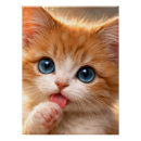 Recherche de chaton posters Animal de compagnie
