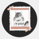 Search for cat meme stickers Humor