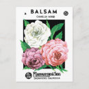 Search for label pink postcards Floral