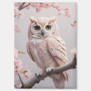 Search for cherry blossoms magnets Dreamy