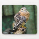 Search for shoulder mousepads Wildlife