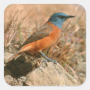 Search for daytimer stickers Bird
