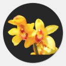 Search for yellow orchid stickers Flower