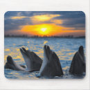 Recherche de dauphin mignon tapis souris Animaux