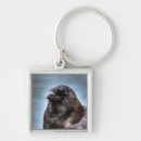 Search for black raven keychains Crow