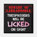 Search for labradoodle magnets Poodle