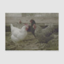 Search for chicken tissue paper Vintage