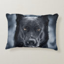 Search for german shepherd pillows Animals