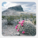 Search for big bend national park stickers Scenic