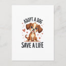 Recherche de adopté cartes postales Chiot