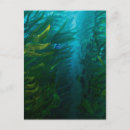 Search for movie poster postcards Disney pixar