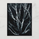 Search for arid vertical postcards Landscape