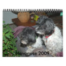 Search for havanese Animals