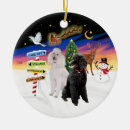 Search for standard poodle ornaments Pets