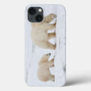 Search for polar bear ipad cases Carnivore