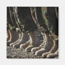 Search for afghan magnets Army