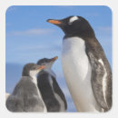 Recherche de habitat autocollants Faune