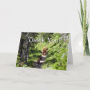 Recherche de yellowstone vœux cartes Photographie