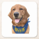 Search for bandanna barware Golden retriever