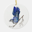 Search for blue jay ornaments Watercolor